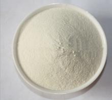 dehydrated garlic powder