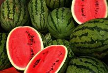 Fresh Water  Melon   Fruit 