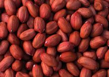 Raw Peanut Kernels