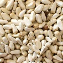  Safflower   Seed  Kernels