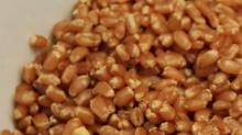 Wheat Berries