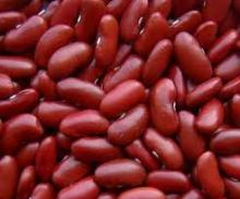  Small   Red   Kidney   Bean s