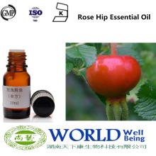 GMP Manufacturer Pure Rose Hip  Oil  Rosehip Essential  Oil  Rose Hip  Oil 