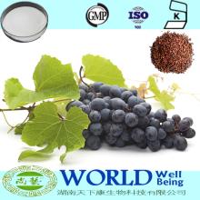 100% natural  Resveratrol   Grape  Skin  Extract   Resveratrol  Trans  Resveratrol   Grape  Skin  Extract 