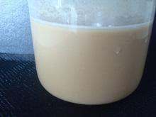 YJ-Protein, rice protein for Infant weaning foods