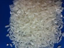  SHORT   GRAIN  RICE, SOFT TEXTURE, GOOD FOR COOKING FRIED RICE (PREMIUM RICE)