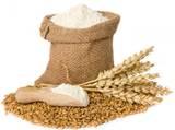 white  wheat   flour   price  ton (COMPETITIVE  PRICE )