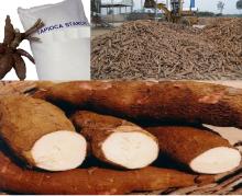 SUPPLYING TAPIOCA STARCH\ CASSAVA STARCH FOR FOOD & TEXTILE