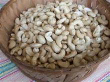 FREASH Cashew Nuts/ Cashew Kernels