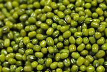Green Mung Beans - Sprouting new crop