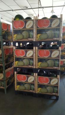 Watermelon