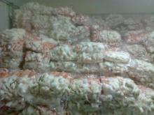 Rabbit skin