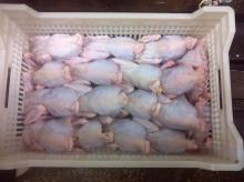 Frozen Whole Laying Hens
