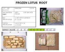 Frozen   lotus   root  IQF  lotus   root  slices