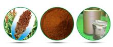 Natural balancing blood sugar, anti-oxidant sorghum extract