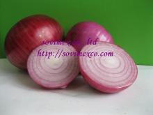 Vietnam RED ONION/SHALLOT Sovimexco