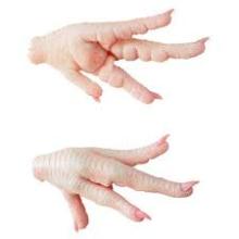 Brazilian Frozen chicken Paw