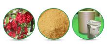 Pure natural protecting liver health schisandra extract