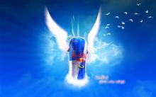 Austria Original Bull Energy Drink 250 ml Red/Blue/Silver sale