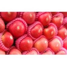 Delicious Apple and Royal Gala Apple for sale