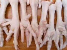  Frozen   Chicken   Feet   GRADE  A+  CHICKEN  LOW PRICES