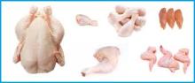 GRADE A HALAL FROZEN WHOLE CHICKEN