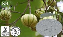 Natural Weight Management Garcinia Cambogia Extract Hydroxy Citric Acid (HCA) 50%, 60%, 95%
