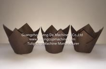 Tulip  Cup  Machine 2