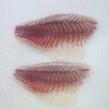 Frozen Barramundi Fillet