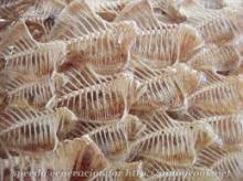  small   size   mackerel  fish bone