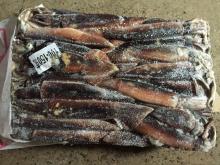 Illex  argentinus   squid  100-150G