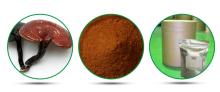 Pure natural reishi mushroom xtract