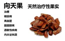  sky  fruit - xiang tian guo-mahogany