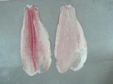 Frozen Pangasius Fillet