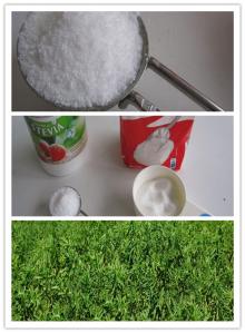 high purified and large quantitybulk  pure   stevia  extract