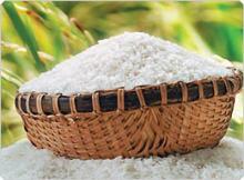 Vietnam Long Grain Rice 10% Broken Best Price
