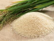 Vietnam Long Grain Rice 15% Broken Best Price
