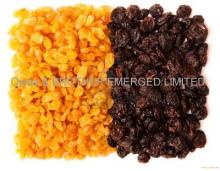 GOLDEN RAISINS