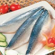 FROZEN MACKEREL FISH WHOLE ROUND