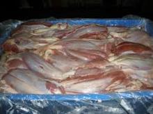 Buffalo Frozen Meat Export Quality