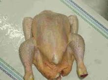 High Quality Halal Grade A Poland Frozen Whole Chicken Best Price