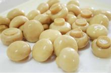  fresh   Canned   Mushrooms 