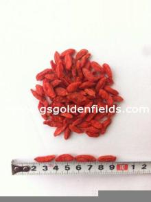 Green Food Chinese  Lycium   Barbarum   Goji  Berries Chinese Wolf berry 