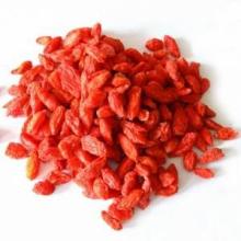 Green Food Chinese Lycium Barbarum Goji