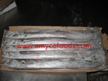  FROZEN   WHOLE  ROUND  RIBBON  FISH 