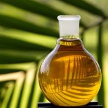 Crude Palm Oil ( CPO )