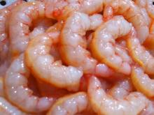 frozen  pink   shrimp   PUD 