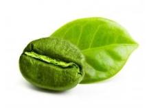 pure green  coffee   bean   extract ,green  coffee   bean   extract ,green  coffee   extract 