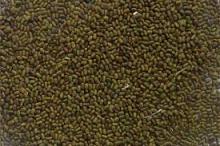 Best Quality Sesbania Seeds