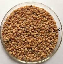 Guar Gum Seeds